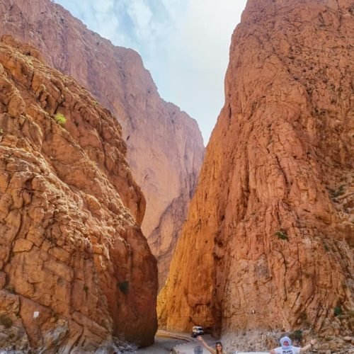 245bd867-8512-463c-8465-b31c204c1f15