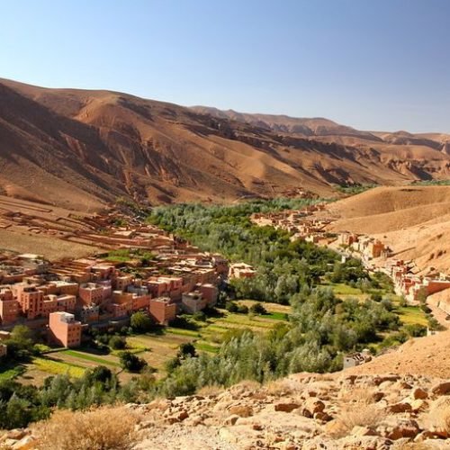 c003ed1fa0fef1923f9dca259bca0345