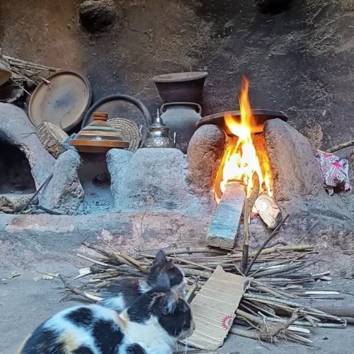 c51fbbf1-c979-442b-b35c-8f1a09e15996