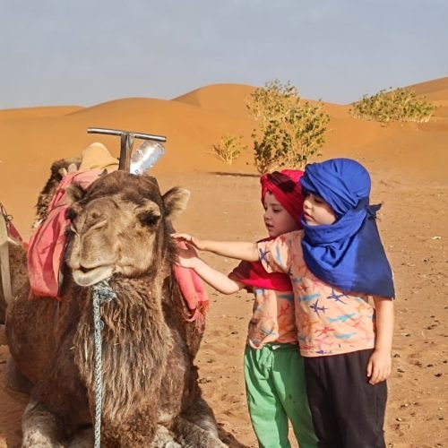 f02db483-e3e6-49c6-a882-1d72522171b3