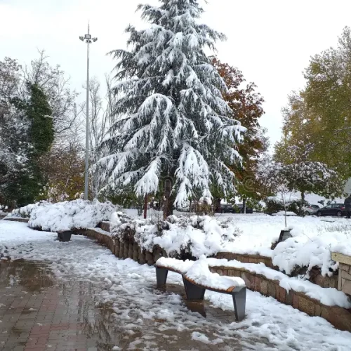 ifrane-morocco-ifrane-morocco-snowfall-white-mountain-sky-cold-tree-fog-landscape-beautiful-164071711