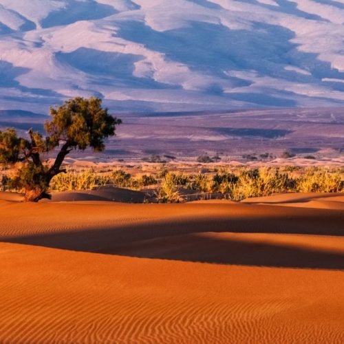 morocco-destination-1080x675